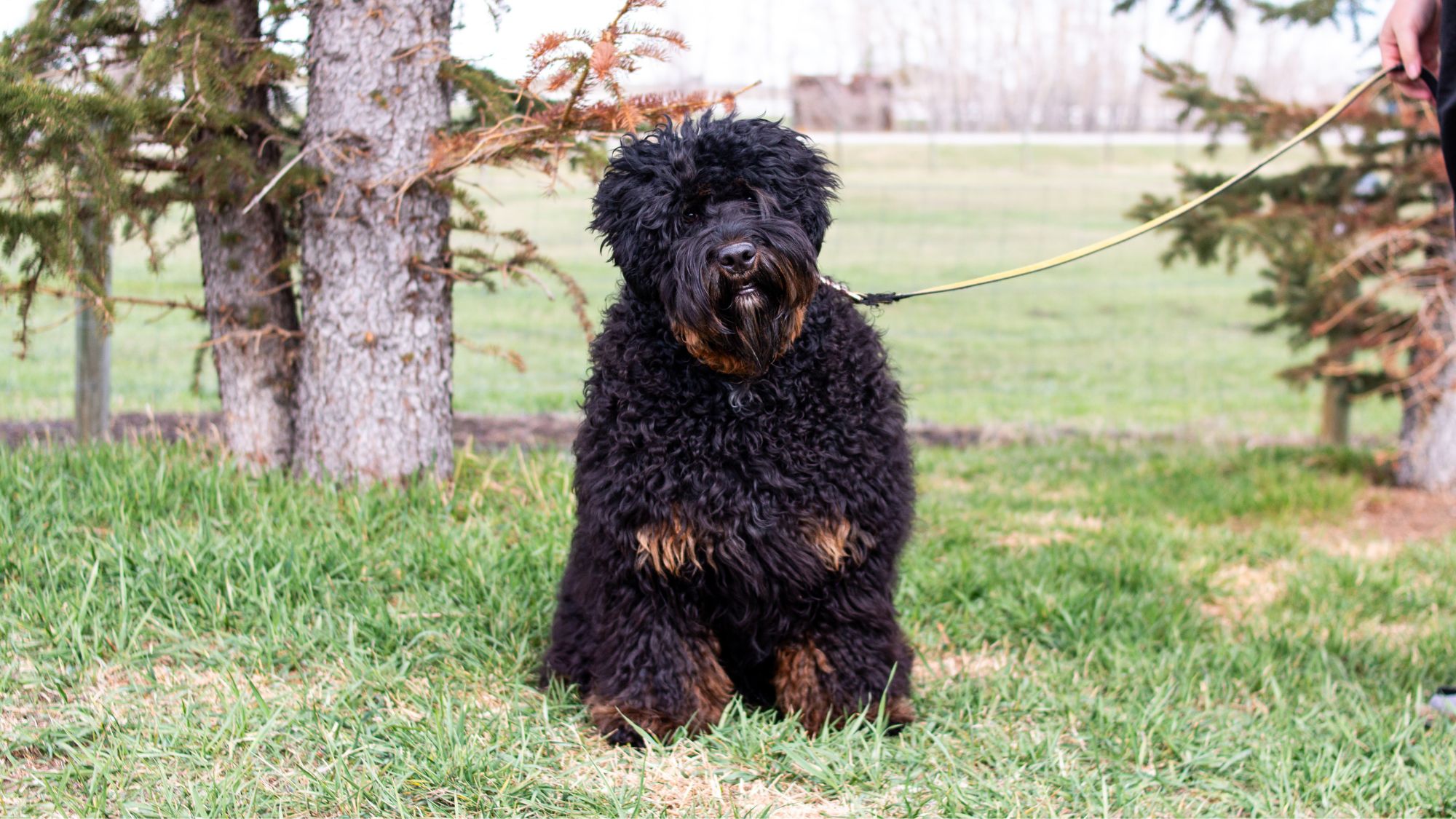 profile-image-square Cherry Blossom Healing Arts Board Certified Practitioners