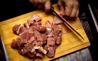 Raw Dog Food Feeding Tips