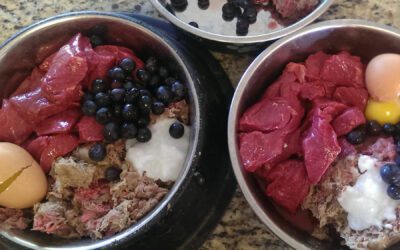 The RAW Truth — Raw Diet for Dogs