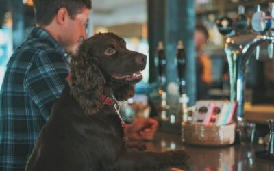 Have a Pint with Your Pal!