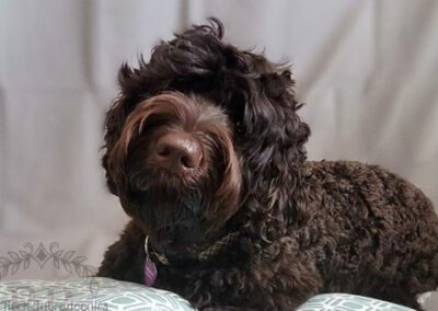 Big Rock North’s Fortune Favours the Bold