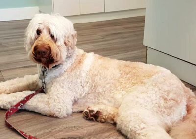 Big Rock’s MackIntosh Toffee