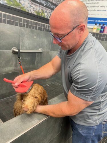 Parris Douglas bathing and grooming Royal, his best buddy!