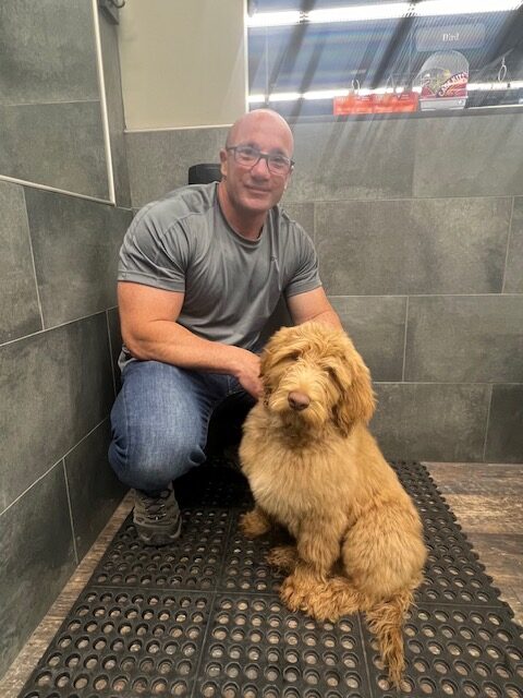 Big Rock's Royal - Service Dog in Training