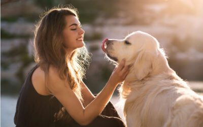 Bond-Based Training and Positive Reinforcement