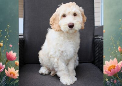 Big Rock’s Garden Jewel